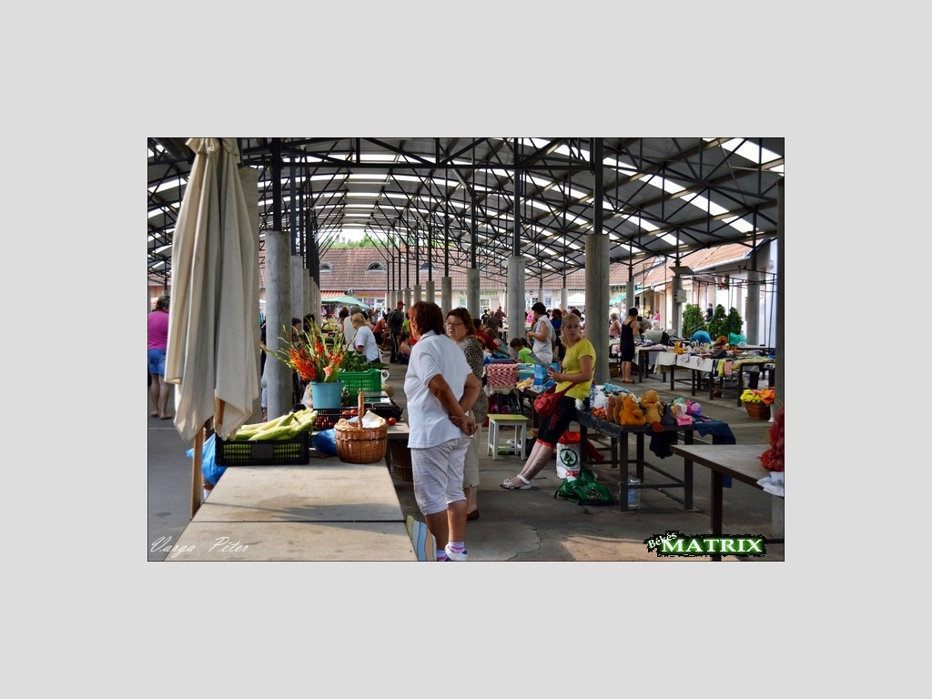 Békési Piacfelügyelet Békési Piacfelügyelet