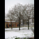 Vizes szegedisek Vizes szegedisek